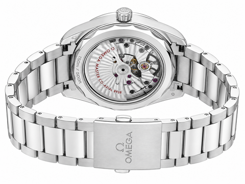 Omega Seamaster Aqua Terra Worldtimer Automatic Watch